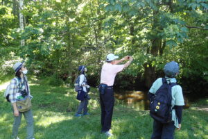 ハリギリの花を撮影する参加者