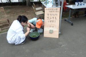 食虫植物の観察を食虫植物の観察をするお子さんおこさん