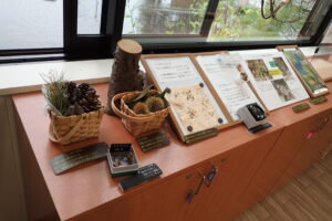 ひっつきむしやドングリなどを使った展示物