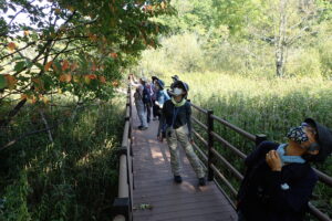 樹木の果実の観察をする参加者の皆さん