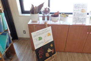 落ち葉と紅葉の展示