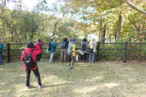 野鳥観察をする参加者