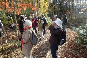 双眼鏡で観察する参加者たち