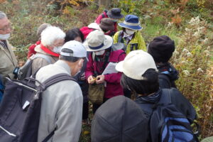 ガガイモのかじつのなかをみんなで観察