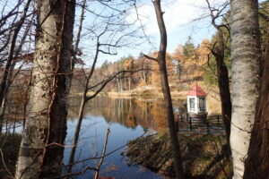 カラマツの黄色い紅葉が映る池と取水塔