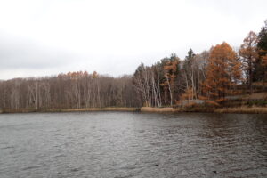 さざ波の立つ池と落葉した木々