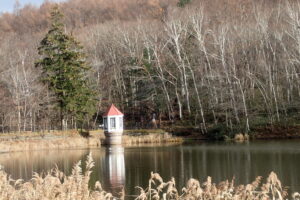 池と取水塔