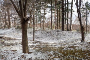 雪の積もった園内