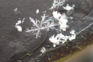 雪の結晶