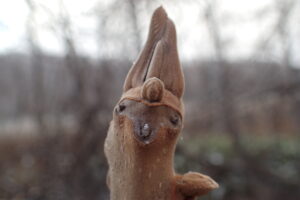 顔に見えるオニグルミの冬芽