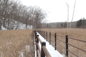 木道に積もった雪