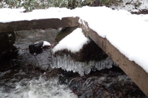 川にかかる橋に付いた氷