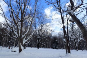枝にも雪が積もった園内