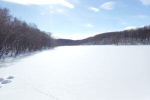 青空と凍った池が白い雪に覆われている