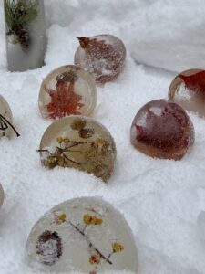氷の中に落ち葉や木の実を閉じ込めたアイスボール