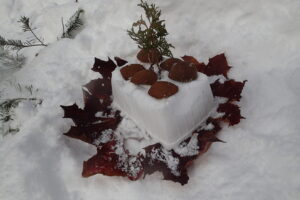 雪と木の実でアイスケーキ