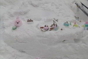 雪の台座にドライフラワーや木の実を飾ったスノーケーキ