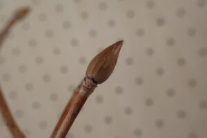 ツルアジサイの冬芽