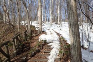階段の雪が少し融けて地面が見え始めている