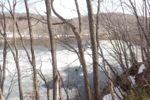 水面が現れ始めた池