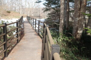 雪が無くなった木道