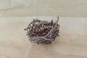 鳥の巣のクラフト