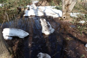 水たまりのある園路