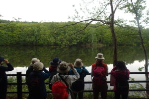 池で野鳥を関猿する皆さん