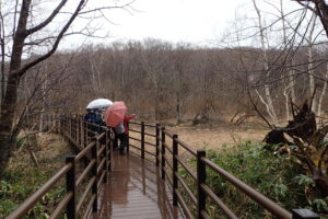 散策する参加者