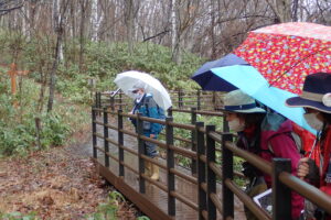 散策する参加者