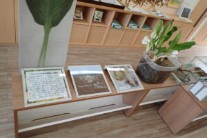 展示コーナーの様子