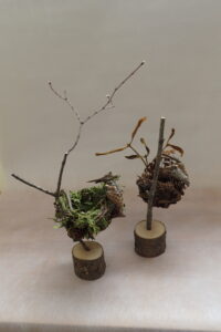 鳥の巣のクラフト