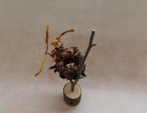 鳥の巣のクラフト