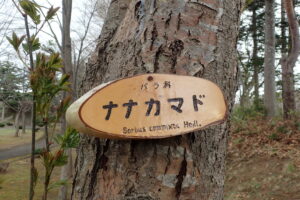 樹に取り付けられた樹名板