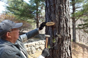 樹名板取り付け作業をしているところ