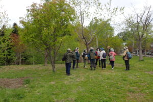 観察する皆さん