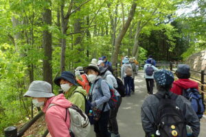 花を観察する参加者の皆さん