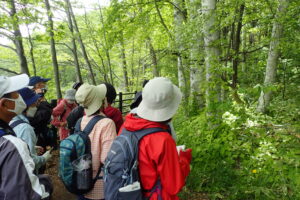 花を観察する参加者の皆さん