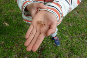 セミの抜け殻を掌に載せる