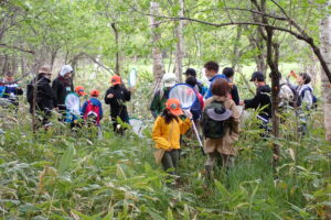 調査地を探索する様子