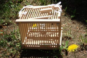 虫かごキットの見本