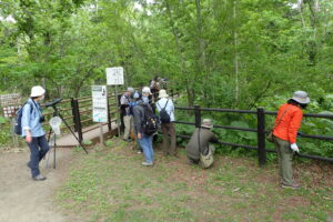 参加者の皆さん