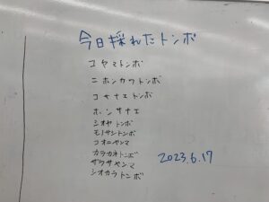 ホワイトボードに書かれたリスト。