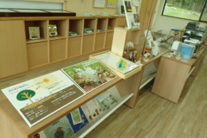 ギンリョウソウの展示