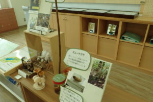 ギンリョウソウの展示