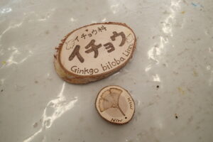 出来上がった樹名板