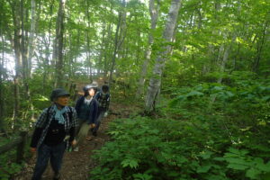 森の中を散策する皆さん