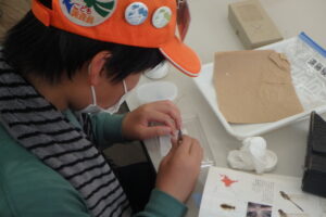 標本作りをする団員達