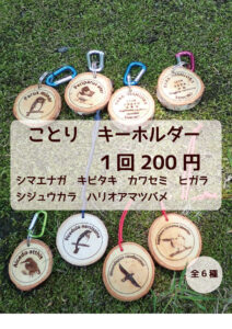 ガチャガチャチラシ