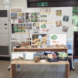 ギンリョウソウの展示